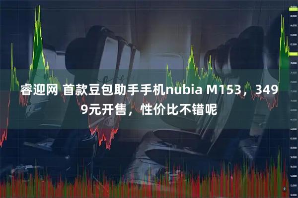 睿迎网 首款豆包助手手机nubia M153，3499元开售，性价比不错呢