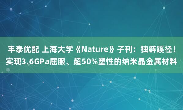 丰泰优配 上海大学《Nature》子刊：独辟蹊径！实现3.6GPa屈服、超50%塑性的纳米晶金属材料