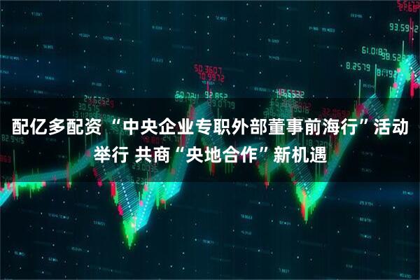 配亿多配资 “中央企业专职外部董事前海行”活动举行 共商“央地合作”新机遇
