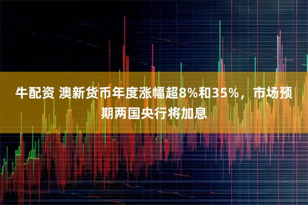 牛配资 澳新货币年度涨幅超8%和35%，市场预期两国央行将加息
