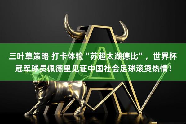 三叶草策略 打卡体验“苏超太湖德比”，世界杯冠军球员佩德里见证中国社会足球滚烫热情！